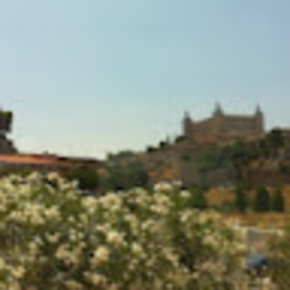 pgpozas